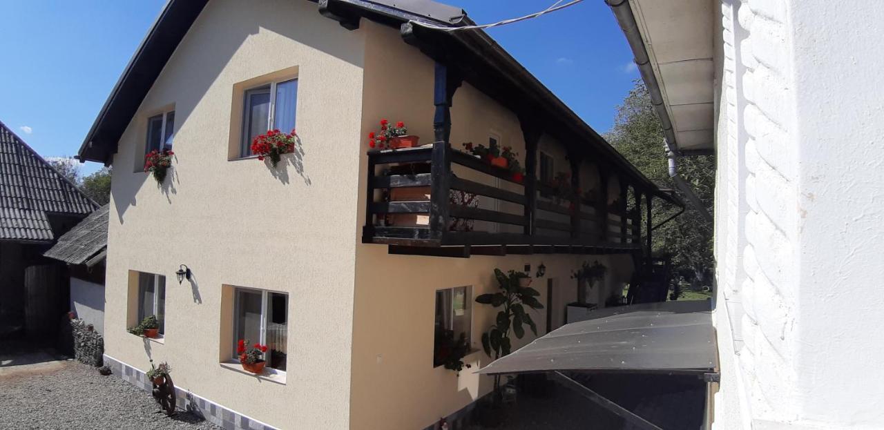 Pensiunea Casa Godja Văleni Dış mekan fotoğraf