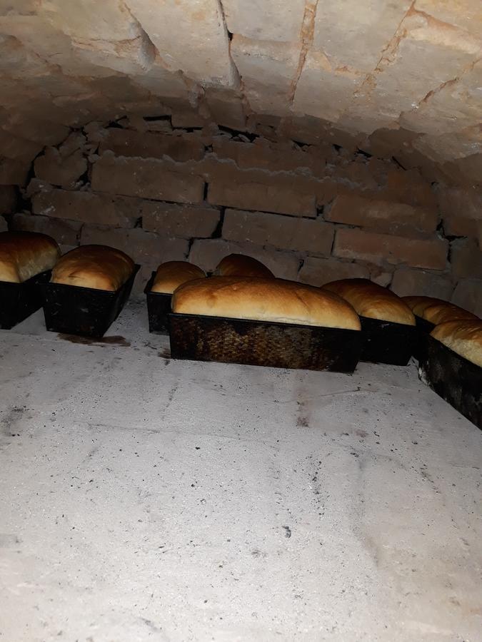 Pensiunea Casa Godja Văleni Dış mekan fotoğraf