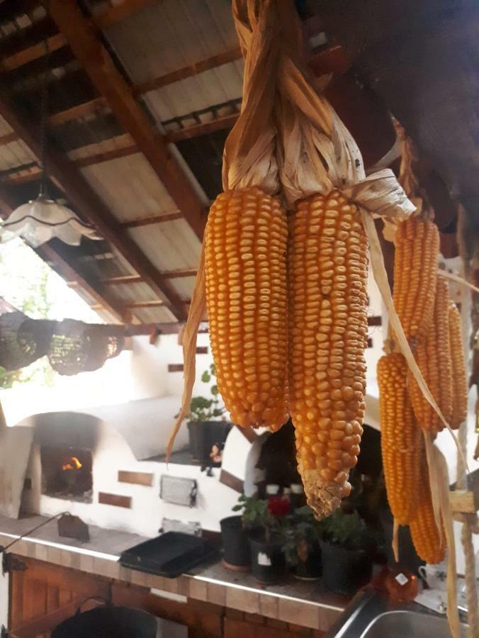 Pensiunea Casa Godja Văleni Dış mekan fotoğraf